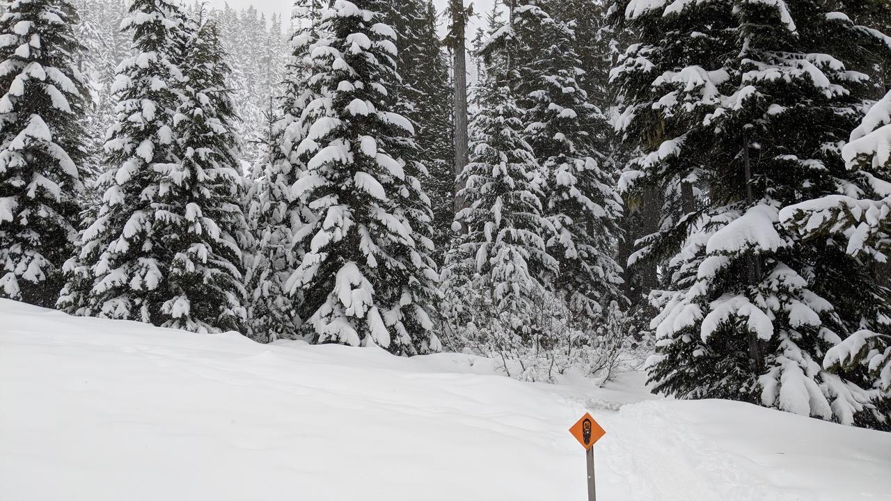 White Pass Log Cabin Luxury Retreat Rimrock Bagian luar foto
