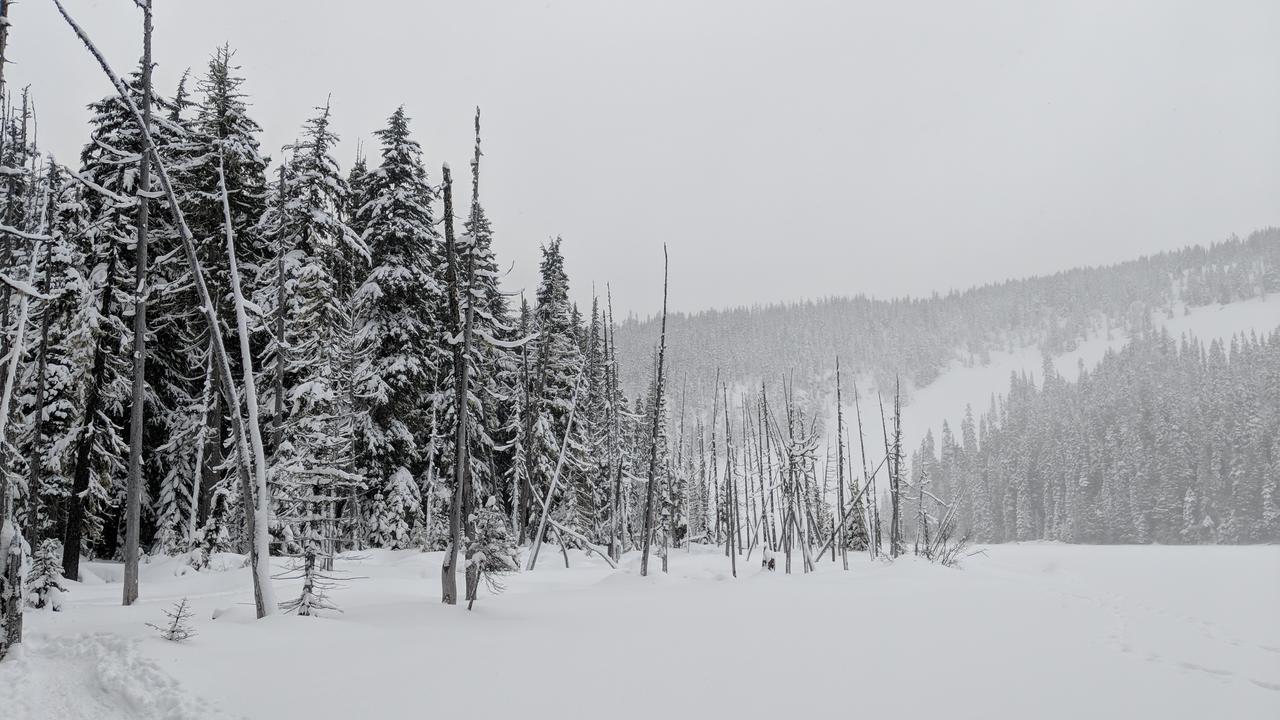 White Pass Log Cabin Luxury Retreat Rimrock Bagian luar foto